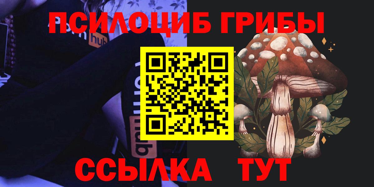 Галлюциногенные грибы Psilocybe Алатырь